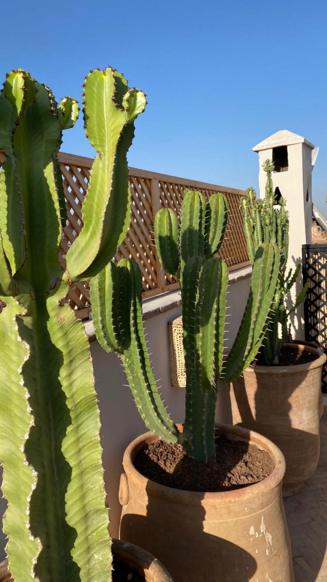 Riad Gasaembre Touareg Marraquexe Exterior foto